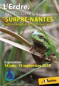 Exposition L'Erdre, une biodiversité surpre-Nantes. Du 14 juin au 15 septembre 2013 à Nantes. Loire-Atlantique. 